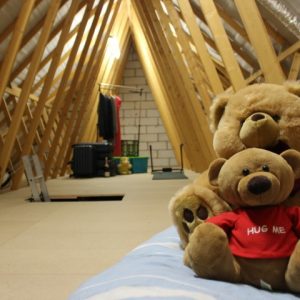 An attic with a light, boarded floors, a ladder access hatch and two teddy bears at the front.